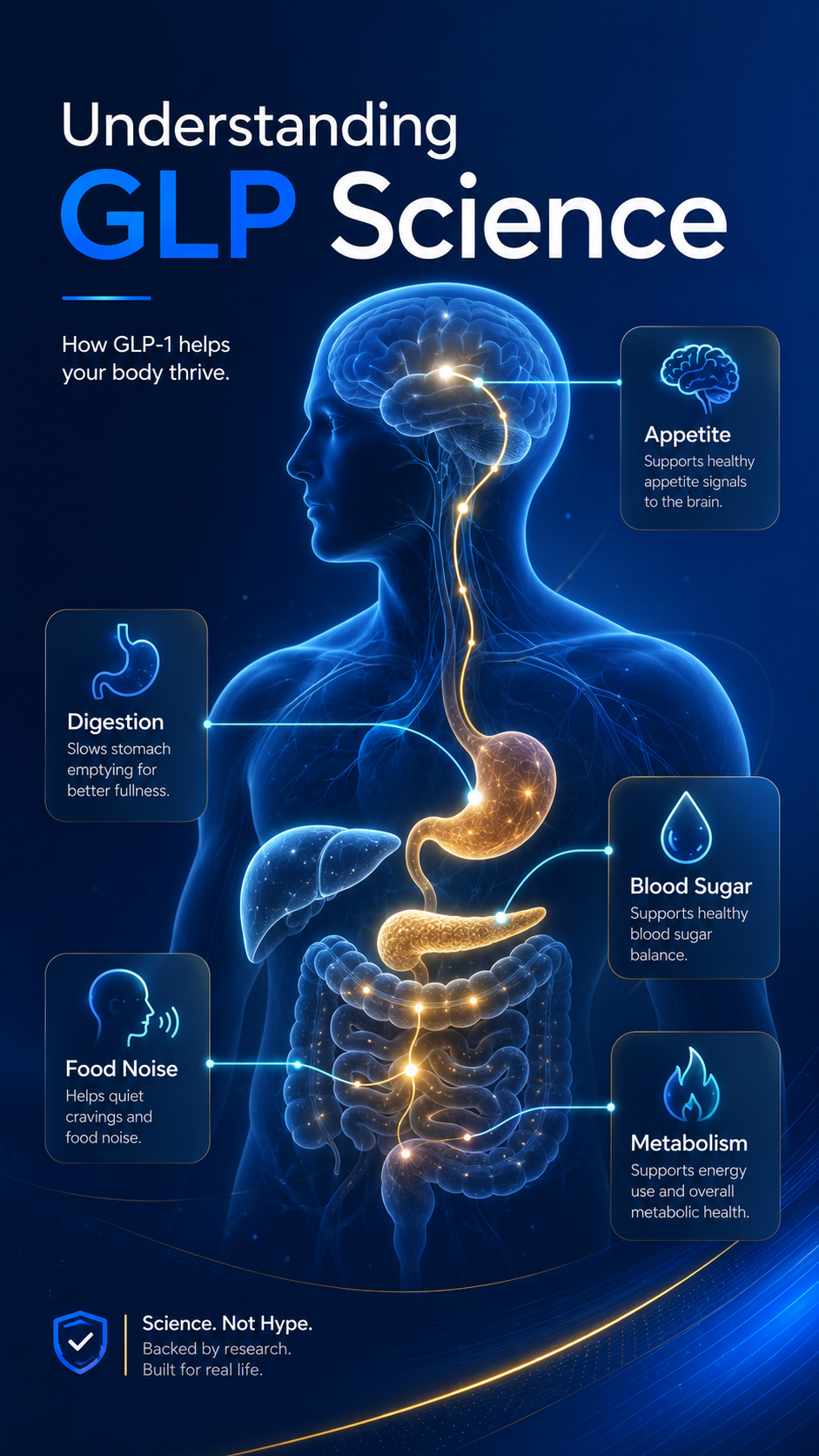 GLP Science for semaglutide and tizepatide digestion appetite food noise blood sugar metabolism